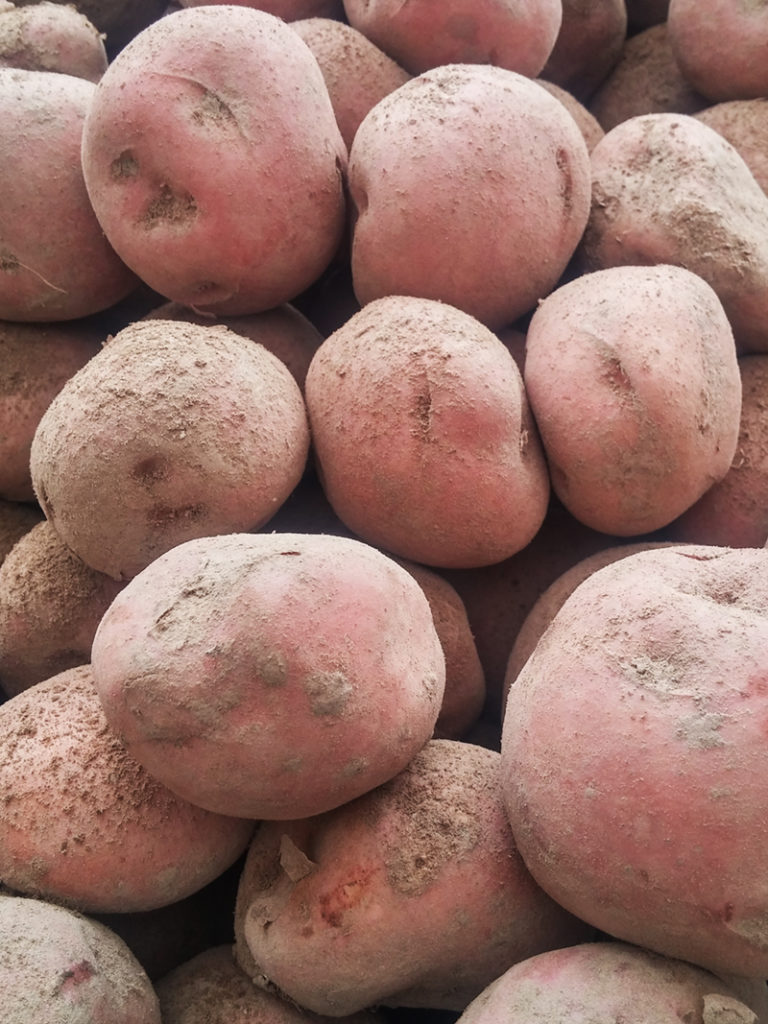 Maret – Vahtra talu